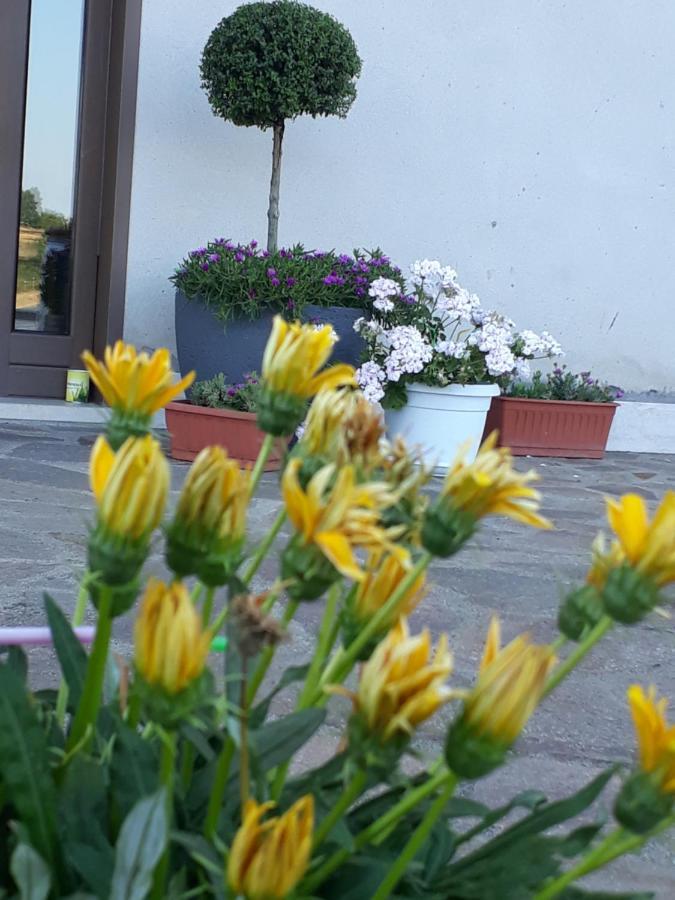 Il Faggio 17 B&B Artena Exterior foto